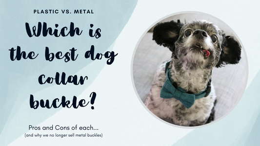 Which is the Best Dog Collar Buckle - Plastic or Metal
