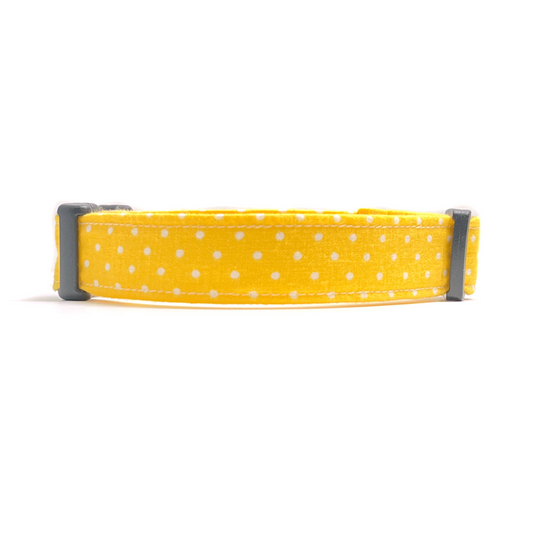 Yellow and White Polka Dots Dog Collar