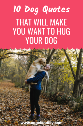 10 Dog Quotes About Love