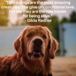 inspirational dog quote about love