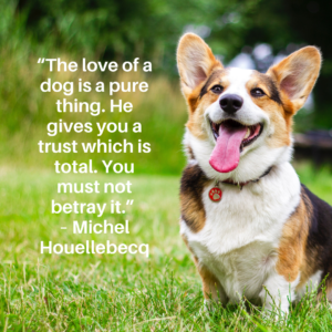 inspirational dog quote about love