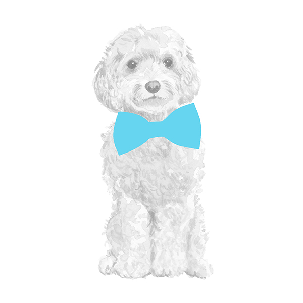 Shop Dog Bow Ties