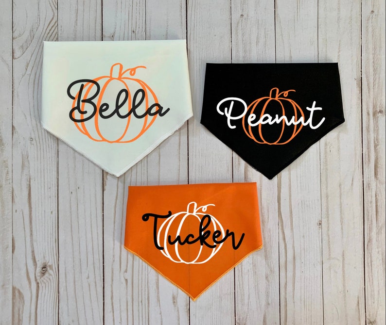 Personalized custom pumpkin fall dog bandana