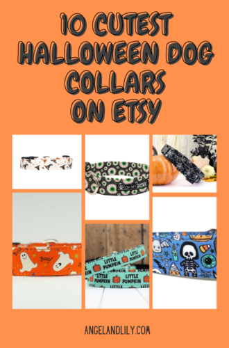 10 Cutest Halloween Dog Collars on Etsy