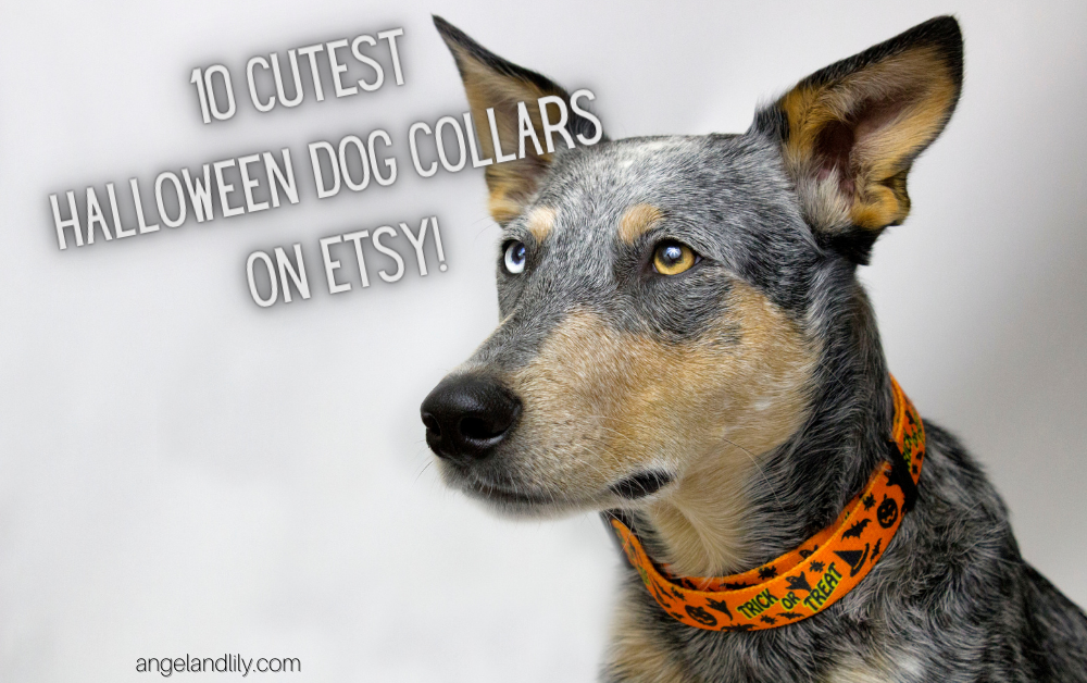 10 Cutest Halloween Dog Collars on Etsy