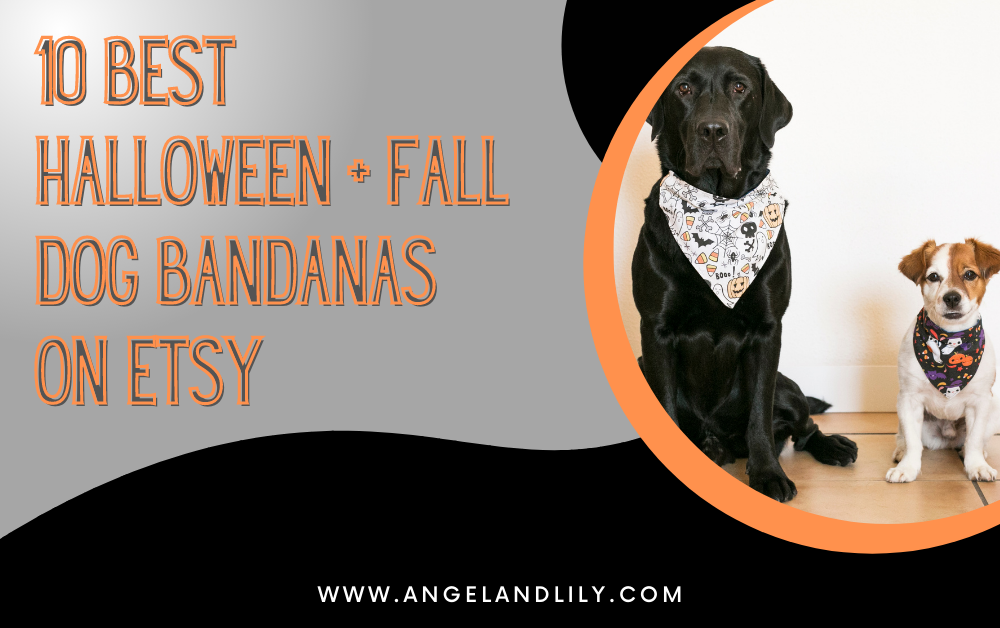 10 best halloween and fall dog bandanas on etsy blog graphic