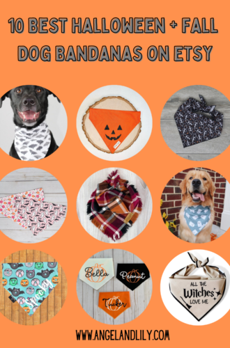 10 Best Halloween and Fall Dog Bandanas on Etsy