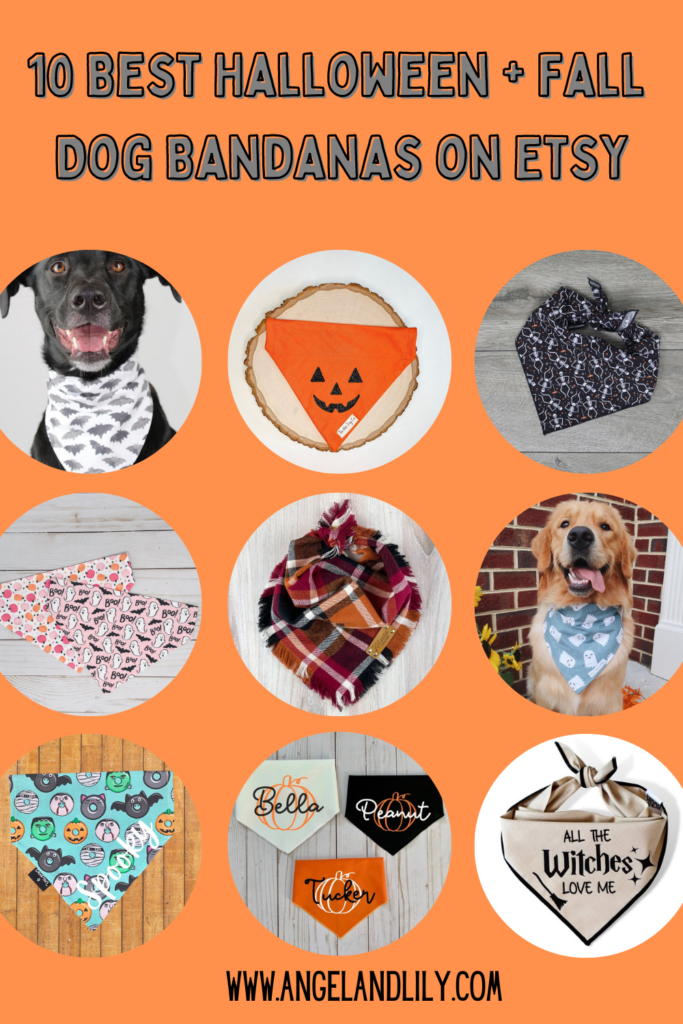 10 best halloween and fall dog bandanas on etsy pin