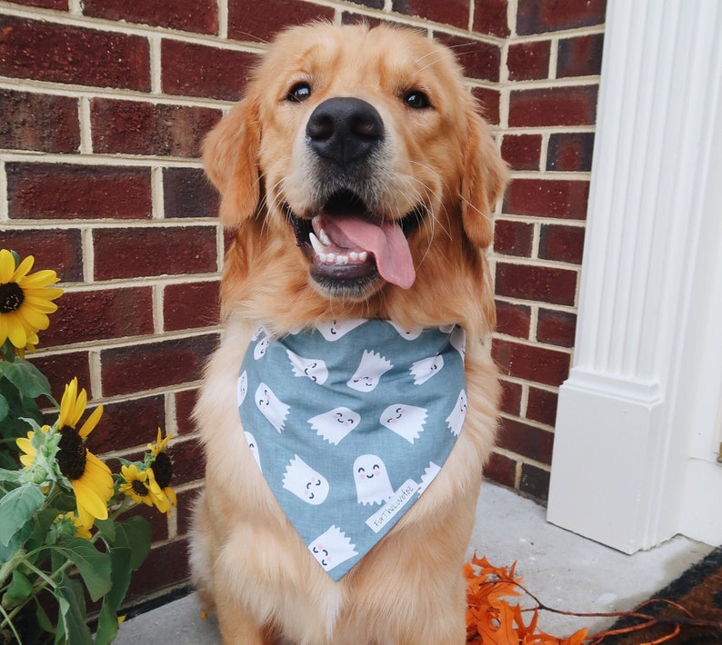 Gray and white cute smiling ghosts Halloween dog bandana