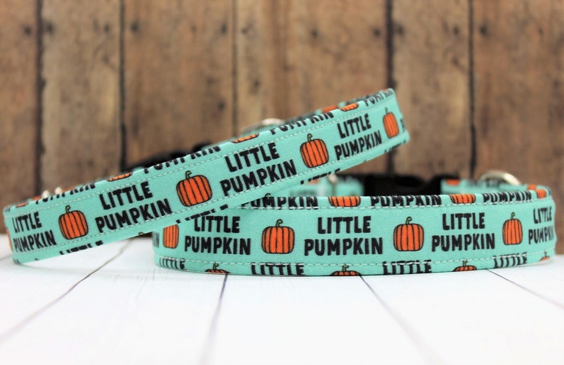 Turquoise Halloween Dog Collar with Little Pumpkins