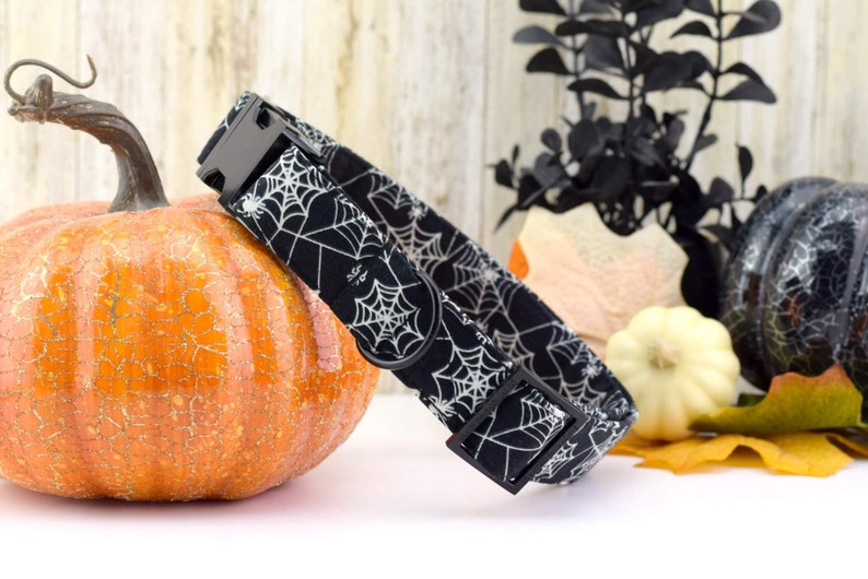 Black Halloween Dog Collar with Glow in the Dark Spiderwebs