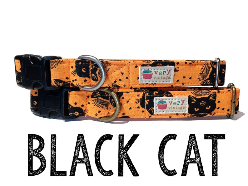 Orange and Black Vintage Black Cats Dog Collar