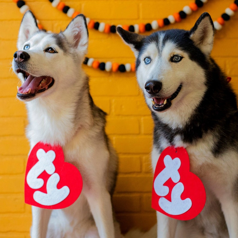 Beanie Baby Dog Halloween Costume on Etsy