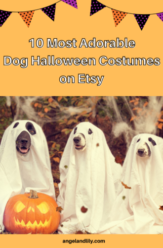 10 Most Adorable Halloween Dog Costumes on Etsy