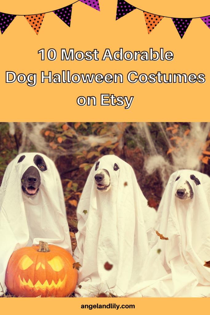 10 Most Adorable Halloween Costumes on Etsy pin