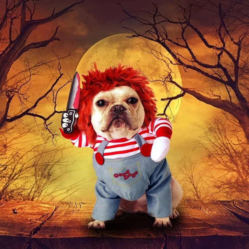 Chucky Dog Halloween Costume on Etsy