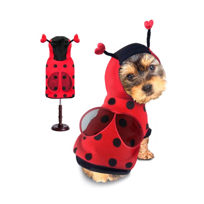 Ladybug Dog Halloween Costume on Etsy