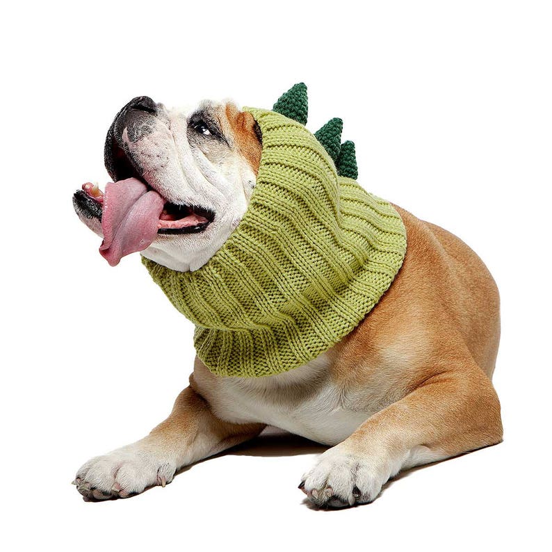 Dinosaur Dog Snood on Etsy