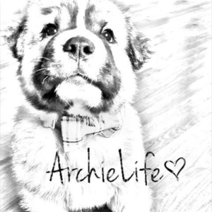 Archie Life Etsy Shop Logo