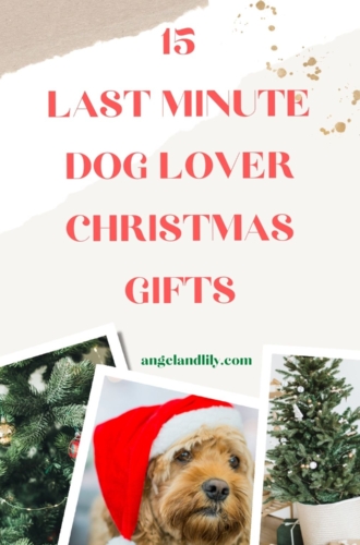 15 Last Minute Dog Lover Christmas Gifts