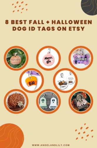 8 Best Fall and Halloween Dog ID Tags on Etsy