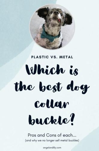 Which is the Best Dog Collar Buckle – Plastic or Metal