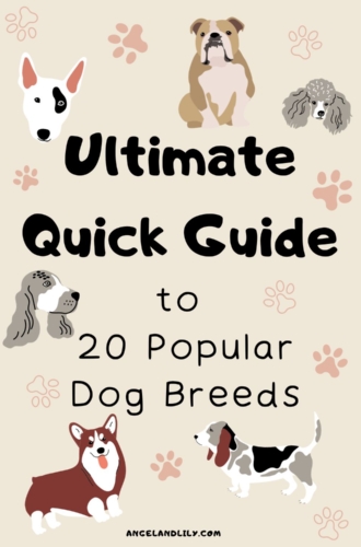 Ultimate Quick Guide to 20 Popular Dog Breeds