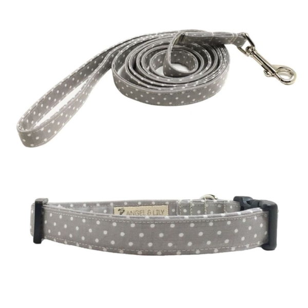 Gray and White Polka Dot Collar and Leash Set