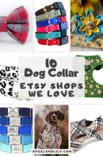 10 Dog Collar Etsy Shops We Love