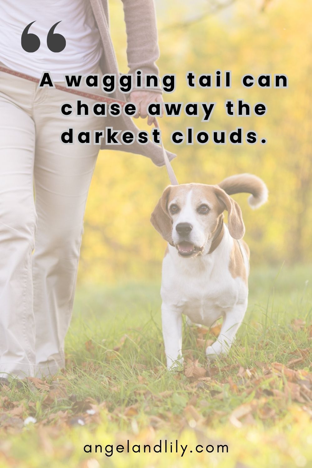 Daily Dogspiration – December 26, 2024