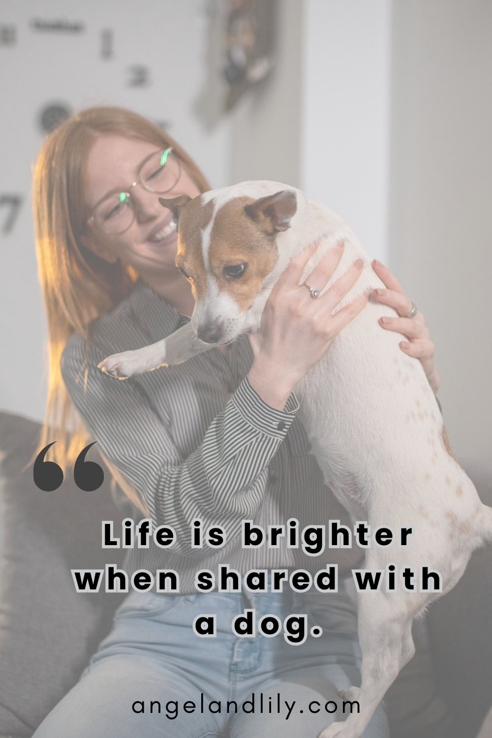 Daily Dogspiration – December 28, 2024