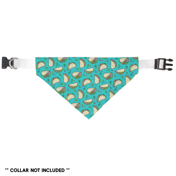 Teal Taco Slide On Bandana - Image 2