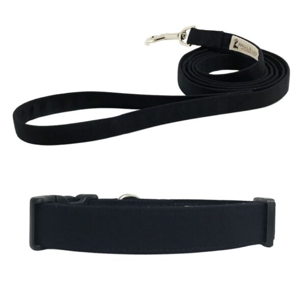 Black Collar and Leash Set