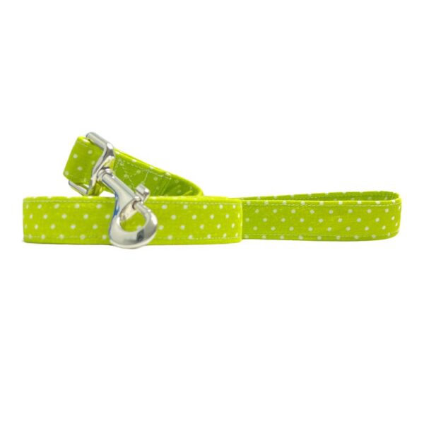 Lime Green and White Polka Dot Collar and Leash Set - Image 3