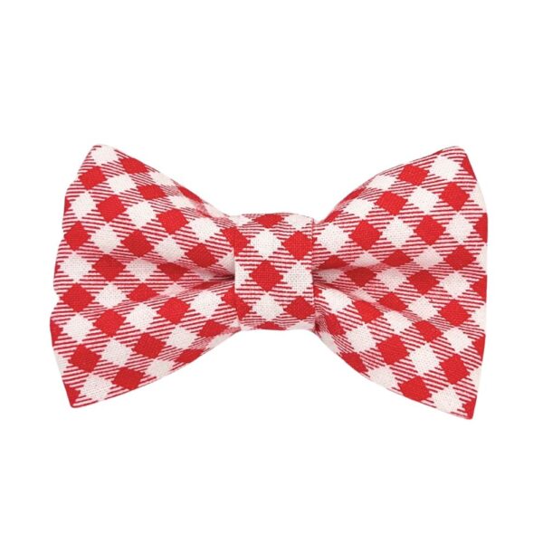 Red and White Gingham Collar and Bow Tie Set - Image 2