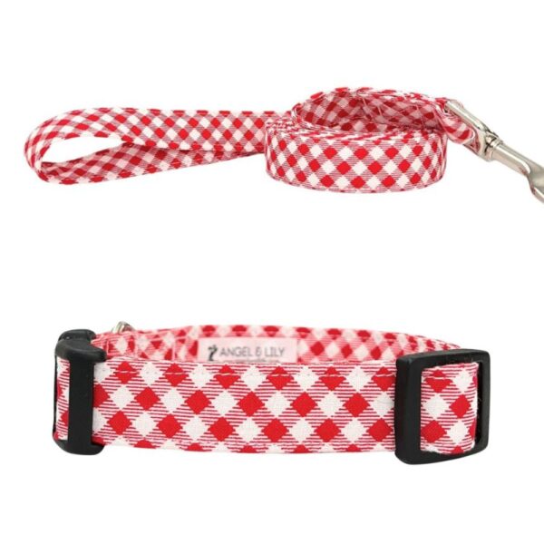 Red and White Gingham Collar and Leash Set