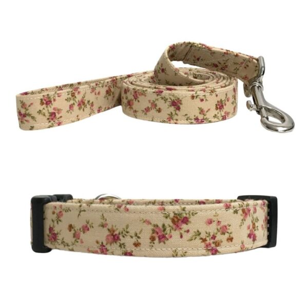 Tan and Shabby Roses Collar and Leash Set