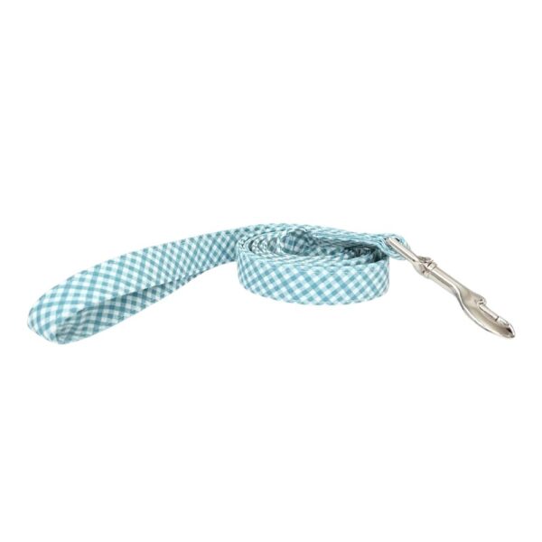 Teal and White Gingham Leash