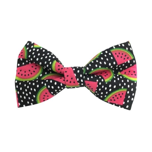 Watermelon Bow Tie