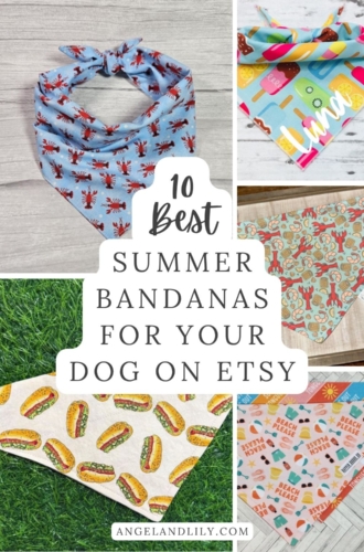 10 Best Dog Bandanas for Summer on Etsy