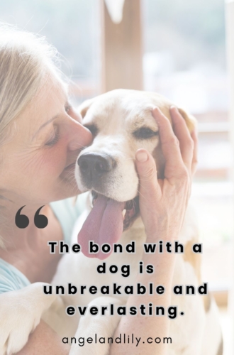 Daily Dogspiration – January 7, 2025