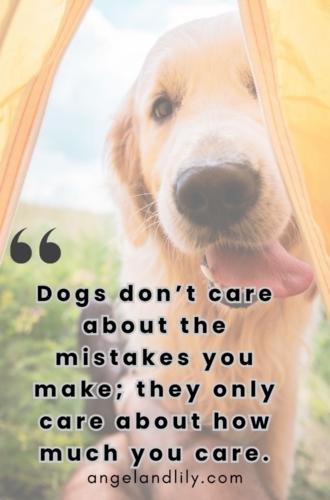 Daily Dogspiration – January 9, 2025