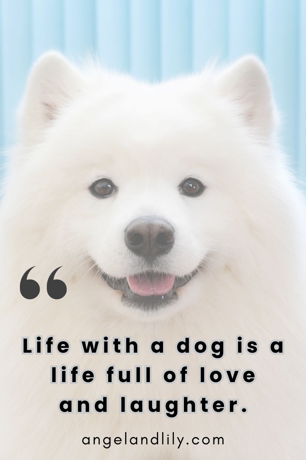 Daily Dogspiration – January 16, 2025