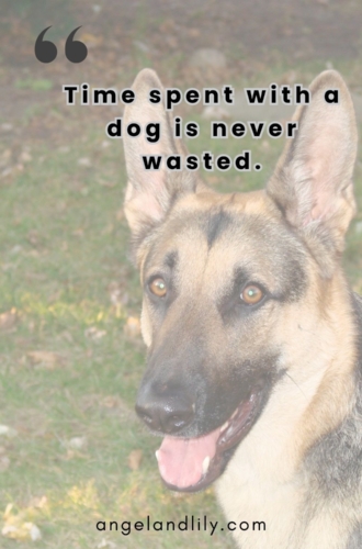 Daily Dogspiration – January 20, 2025