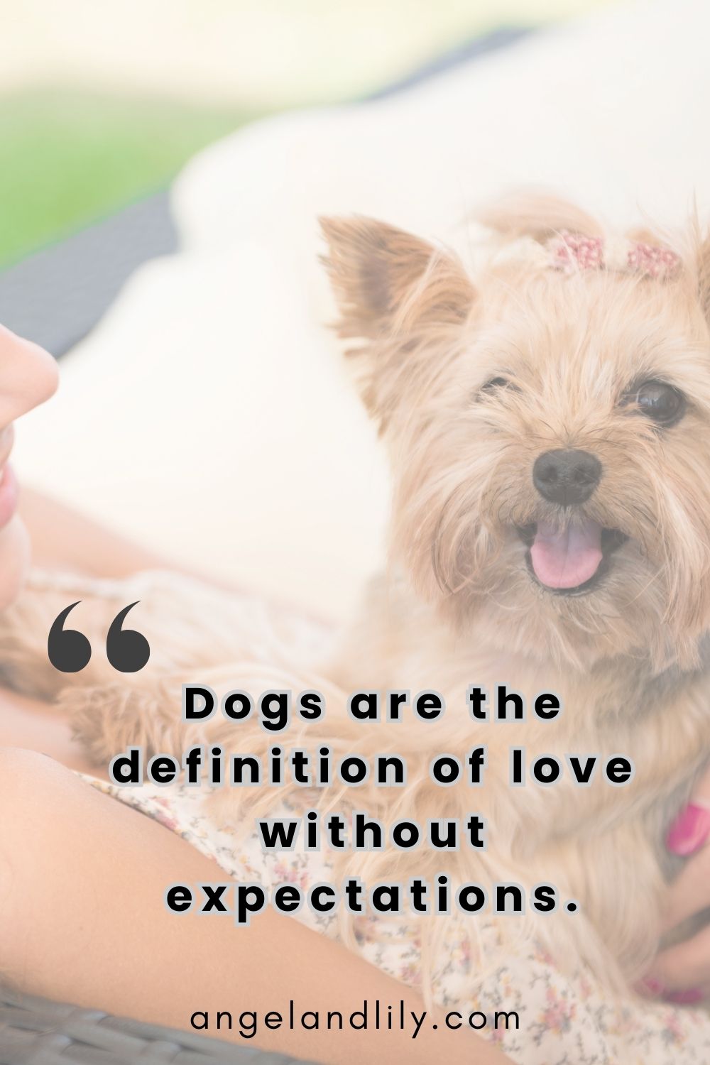 Daily Dogspiration – January 24, 2025