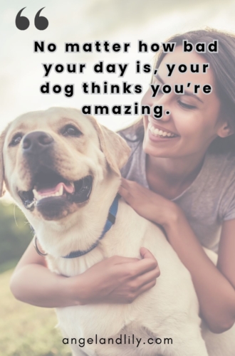 Daily Dogspiration – January 25, 2025
