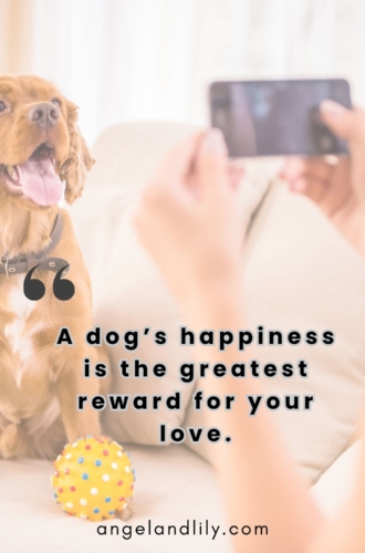 Daily Dogspiration – January 28, 2025