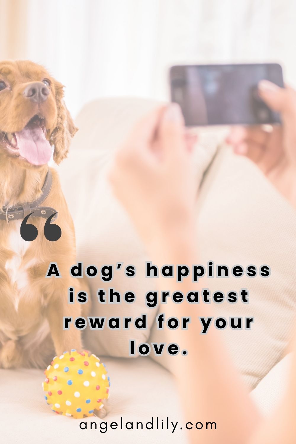 Daily Dogspiration – January 28, 2025