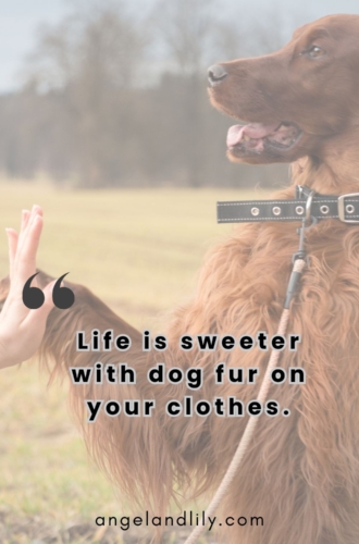 Daily Dogspiration – January 31, 2025