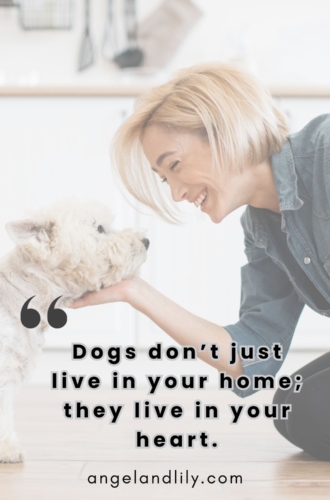 Daily Dogspiration – February 1, 2025